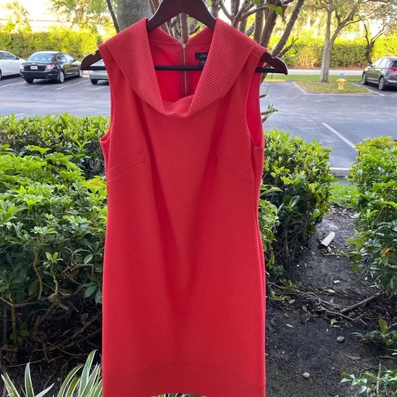 NWT Pure Amici Poppy Cowl Neck Dress Medium - Picture 2 of 11